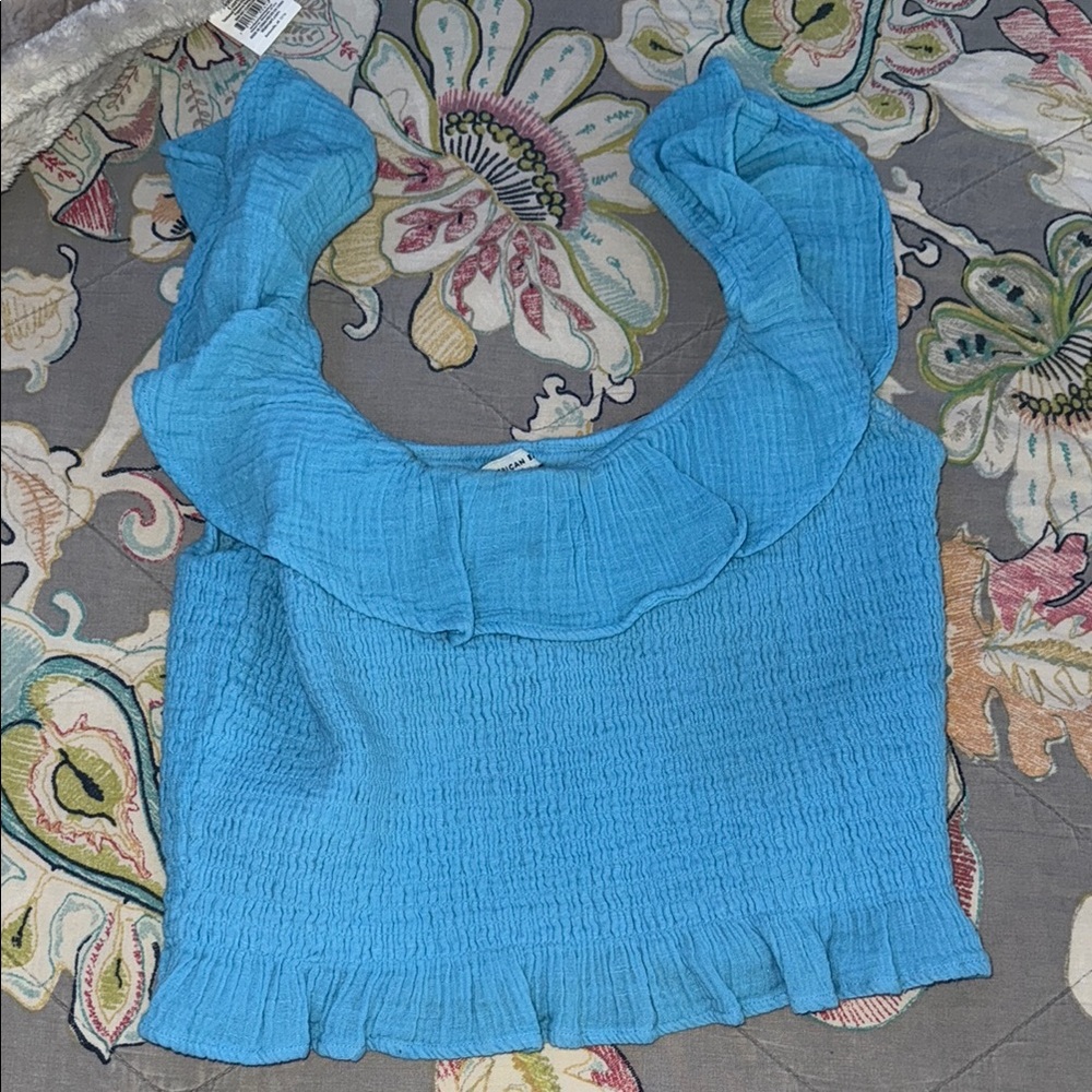 American Eagle Outfitters Blue Smocked Ruffled Crop Top